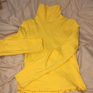 Turtle neck, long sleeve top.